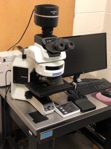 Join us for a FREE Hands-on Workshop on Olympus Light/Fluorescence BX53 microscope (May 13th, 2019)!