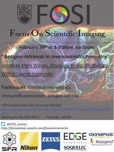 FOSI seminar February 28th 3pm via Zoom
