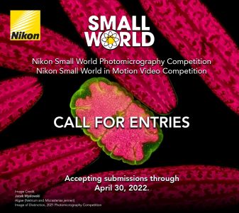 Nikon Small World Competition Call for Entries